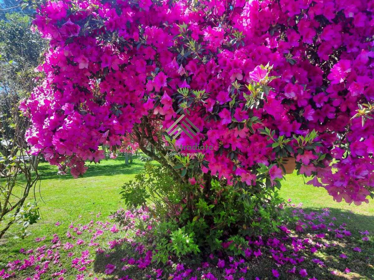 Chácara à venda em Júlio de Castilhos, Val de Serra, com 2 quartos, 5,27ha