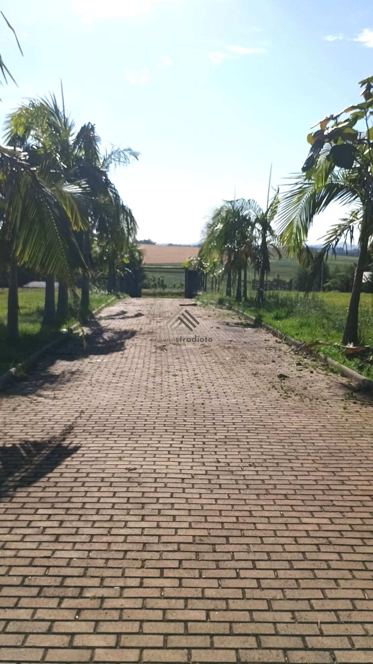 Chácara à venda em Santa Maria, Boca do Monte, com 3 quartos, 450,00ha